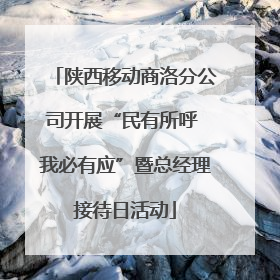 陕西移动商洛分公司开展“民有所呼 我必有应”暨总经理接待日活动