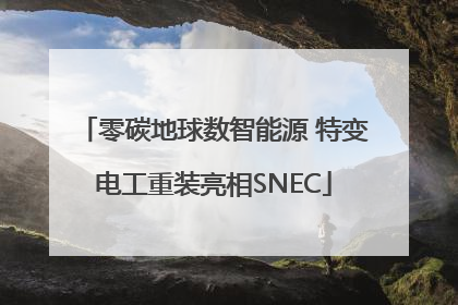 零碳地球数智能源 特变电工重装亮相SNEC