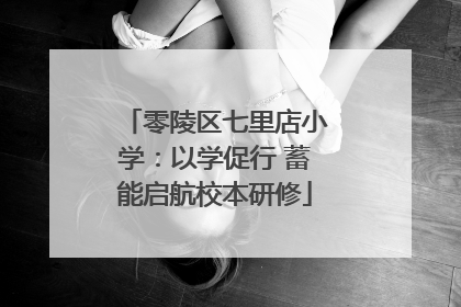 零陵区七里店小学：以学促行 蓄能启航校本研修