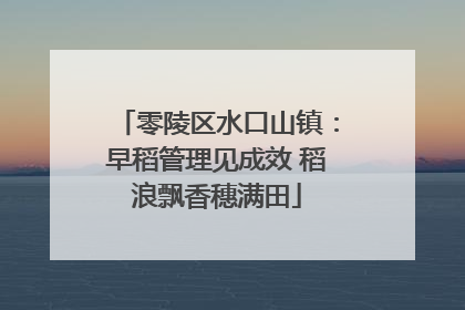 零陵区水口山镇：早稻管理见成效 稻浪飘香穗满田