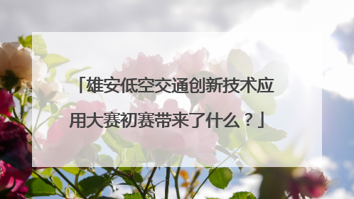 雄安低空交通创新技术应用大赛初赛带来了什么？