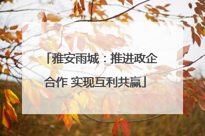 雅安雨城：推进政企合作 实现互利共赢