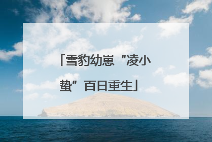 雪豹幼崽“凌小蛰”百日重生