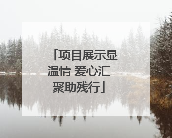 项目展示显温情 爱心汇聚助残行