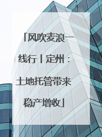风吹麦浪一线行丨定州：土地托管带来稳产增收
