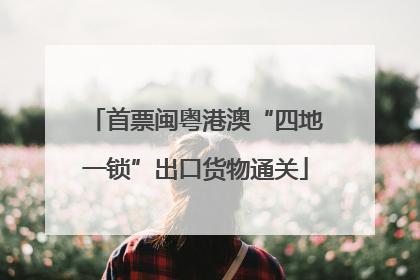 首票闽粤港澳“四地一锁”出口货物通关