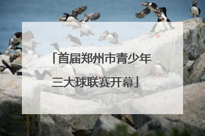 首届郑州市青少年三大球联赛开幕