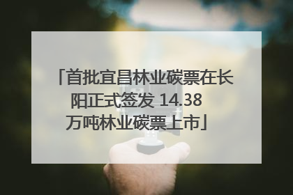 首批宜昌林业碳票在长阳正式签发 14.38万吨林业碳票上市