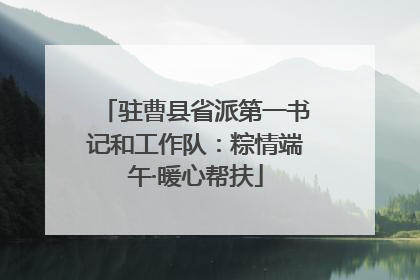 驻曹县省派第一书记和工作队：粽情端午·暖心帮扶