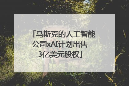 马斯克的人工智能公司xAI计划出售3亿美元股权