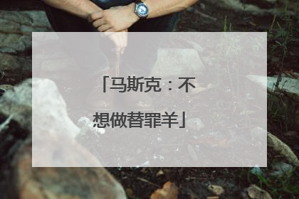 马斯克：不想做替罪羊