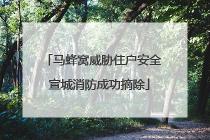 马蜂窝威胁住户安全 宣城消防成功摘除