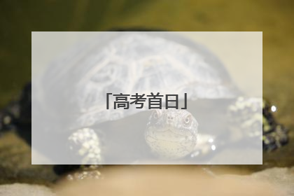 高考首日