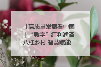 高质量发展看中国｜“数字”红利润泽八桂乡村 智慧赋能绘就振兴画卷