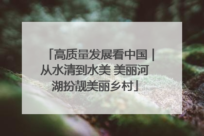 高质量发展看中国｜从水清到水美 美丽河湖扮靓美丽乡村