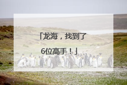 龙海，找到了6位高手！