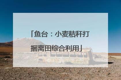 鱼台：小麦秸秆打捆离田综合利用