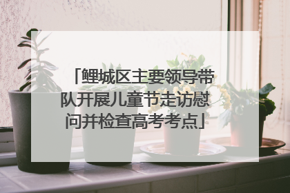 鲤城区主要领导带队开展儿童节走访慰问并检查高考考点