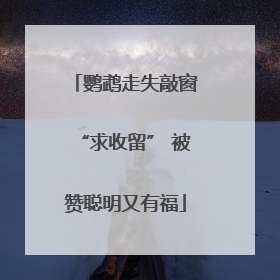 鹦鹉走失敲窗“求收留” 被赞聪明又有福