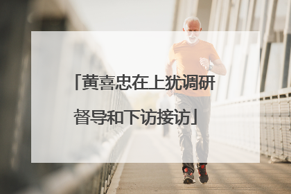 黄喜忠在上犹调研督导和下访接访