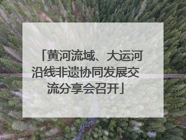 黄河流域、大运河沿线非遗协同发展交流分享会召开
