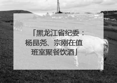 黑龙江省纪委：杨昆尧、宗刚在值班室聚餐饮酒