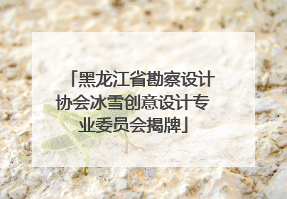 黑龙江省勘察设计协会冰雪创意设计专业委员会揭牌