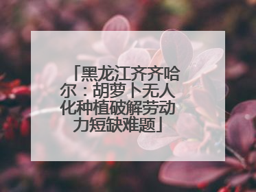 黑龙江齐齐哈尔：胡萝卜无人化种植破解劳动力短缺难题