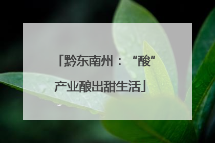 黔东南州：“酸”产业酿出甜生活