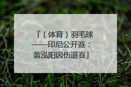 （体育）羽毛球——印尼公开赛：翁泓阳因伤退赛