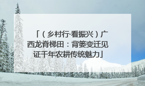 （乡村行·看振兴）广西龙脊梯田：背篓变迁见证千年农耕传统魅力