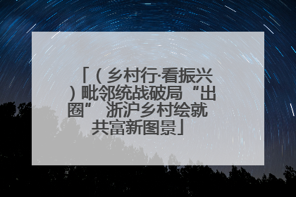 （乡村行·看振兴）毗邻统战破局“出圈” 浙沪乡村绘就共富新图景