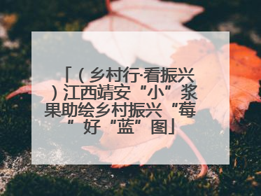 （乡村行·看振兴）江西靖安“小”浆果助绘乡村振兴“莓”好“蓝”图