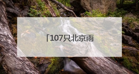 107只北京雨燕在颐和园完成年度“体检”