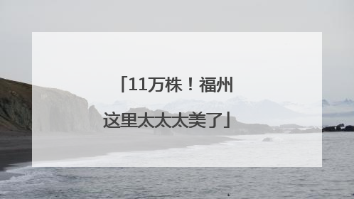 11万株！福州这里太太太美了