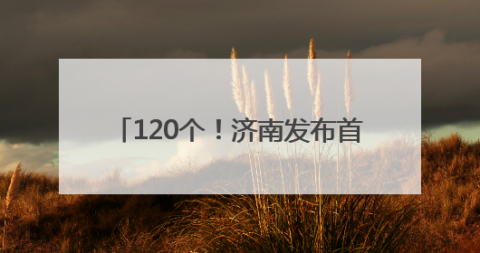 120个！济南发布首批AI大模型推荐名录