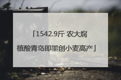1542.9斤 农大腐植酸青岛即墨创小麦高产