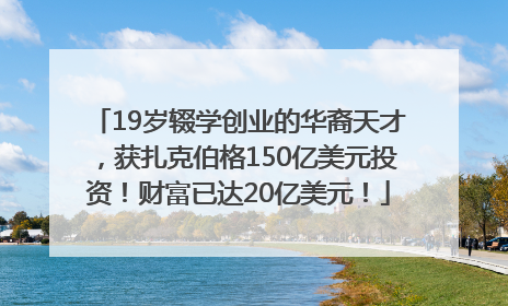 19岁辍学创业的华裔天才，获扎克伯格150亿美元投资！财富已达20亿美元！