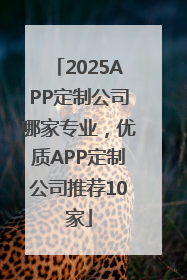 2025APP定制公司哪家专业，优质APP定制公司推荐10家