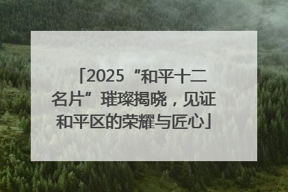 2025“和平十二名片”璀璨揭晓，见证和平区的荣耀与匠心
