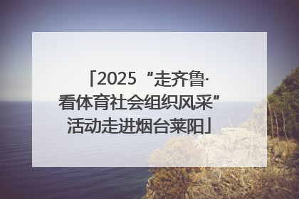 2025“走齐鲁·看体育社会组织风采”活动走进烟台莱阳