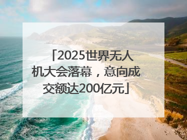 2025世界无人机大会落幕，意向成交额达200亿元