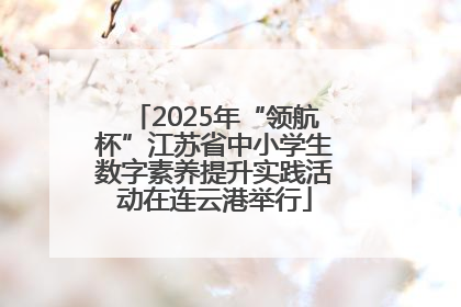 2025年“领航杯”江苏省中小学生数字素养提升实践活动在连云港举行