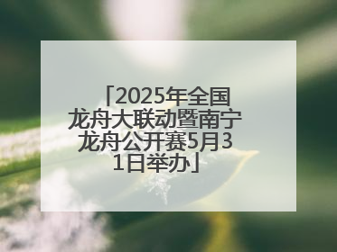 2025年全国龙舟大联动暨南宁龙舟公开赛5月31日举办