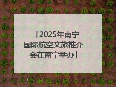 2025年南宁国际航空文旅推介会在南宁举办