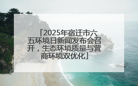 2025年宿迁市六五环境日新闻发布会召开，生态环境质量与营商环境双优化