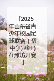 2025年山东省青少年校园足球联赛（初中争冠组）在潍坊开赛