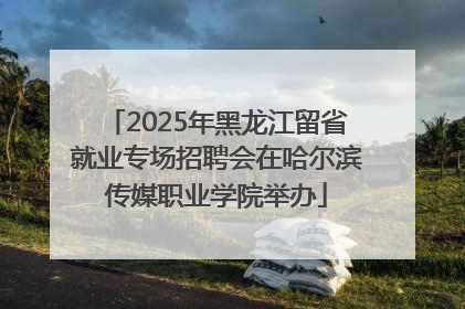 2025年黑龙江留省就业专场招聘会在哈尔滨传媒职业学院举办