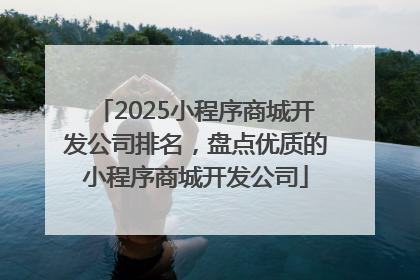 2025小程序商城开发公司排名，盘点优质的小程序商城开发公司