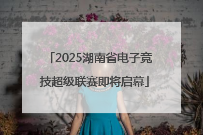 2025湖南省电子竞技超级联赛即将启幕